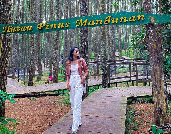 lokasi hutan pinus mangunan