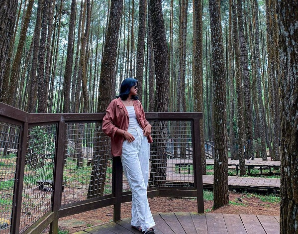 lokasi hutan pinus mangunan