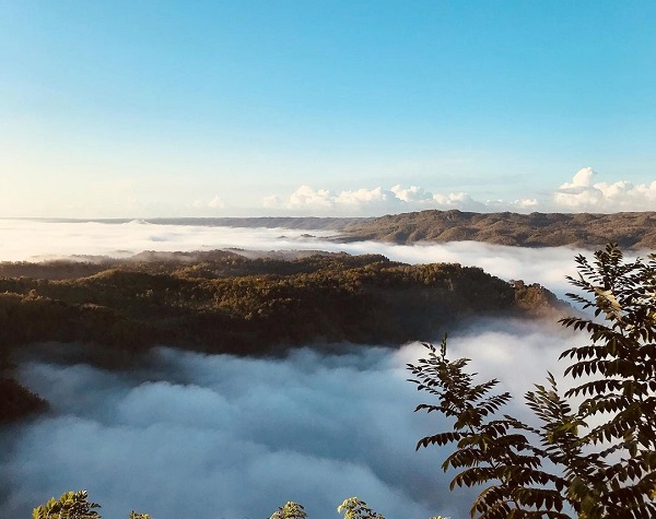 Kebun Buah Mangunan Jogja | Rute Lokasi & Harga Tiket Masuk