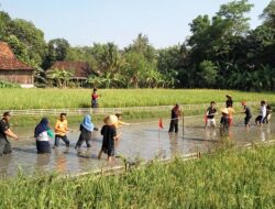 Destinasi Kebudayan Jawa Wisata Desa Tembi Rumah Budaya Jogja